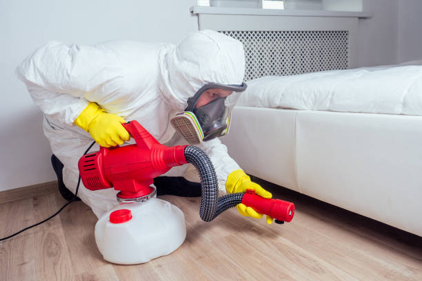 Best Pest Inspection Near Me  in Manly, IA