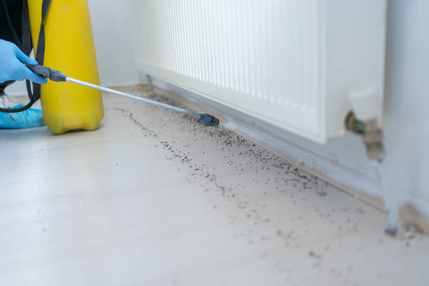 Best Mosquito Control Services  in Manly, IA