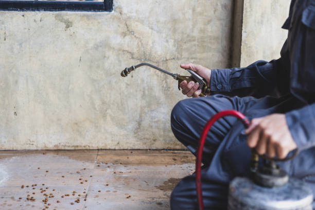 Best Pest Removal Services  in Manly, IA